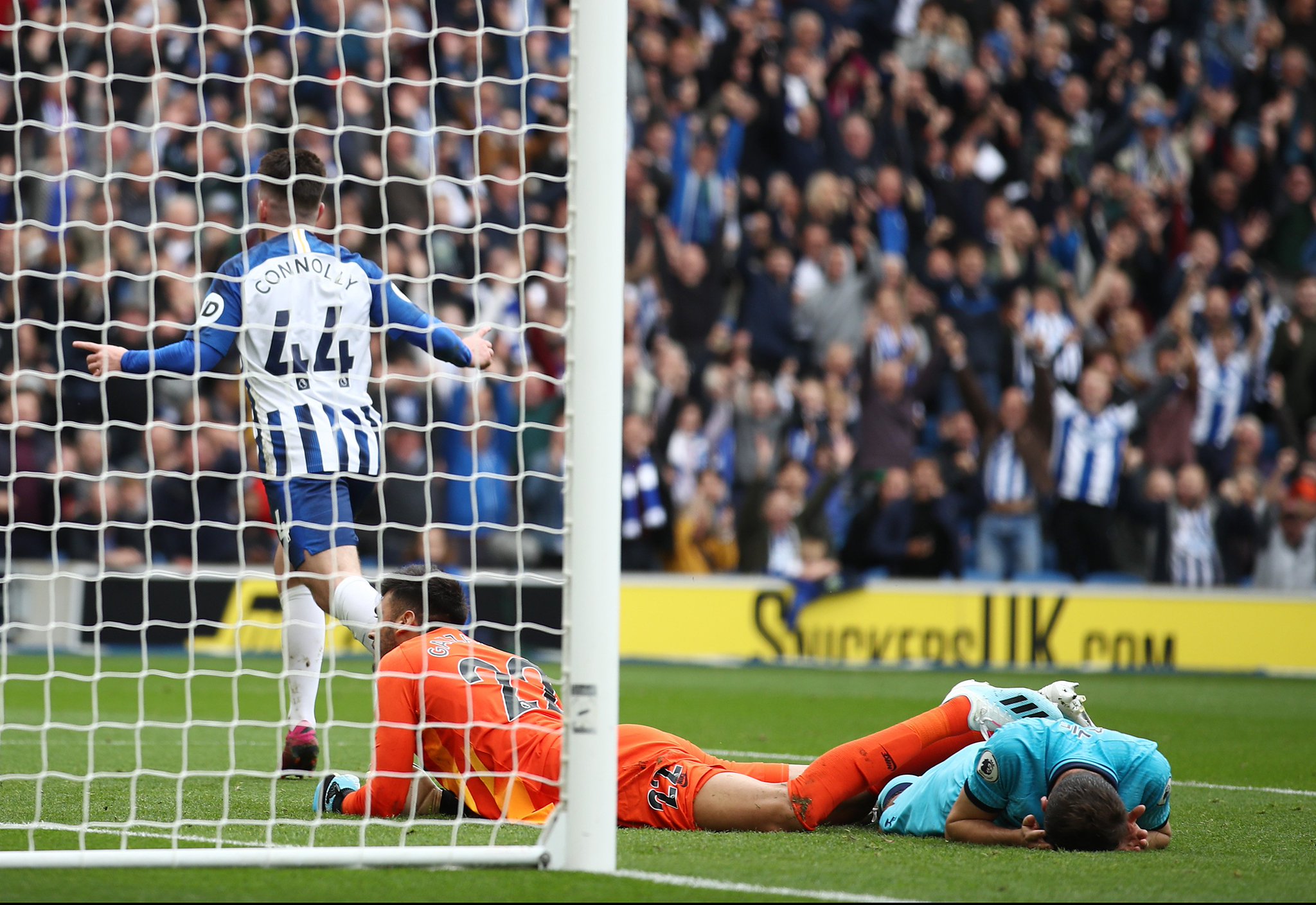 的多樣性與 的多樣性與