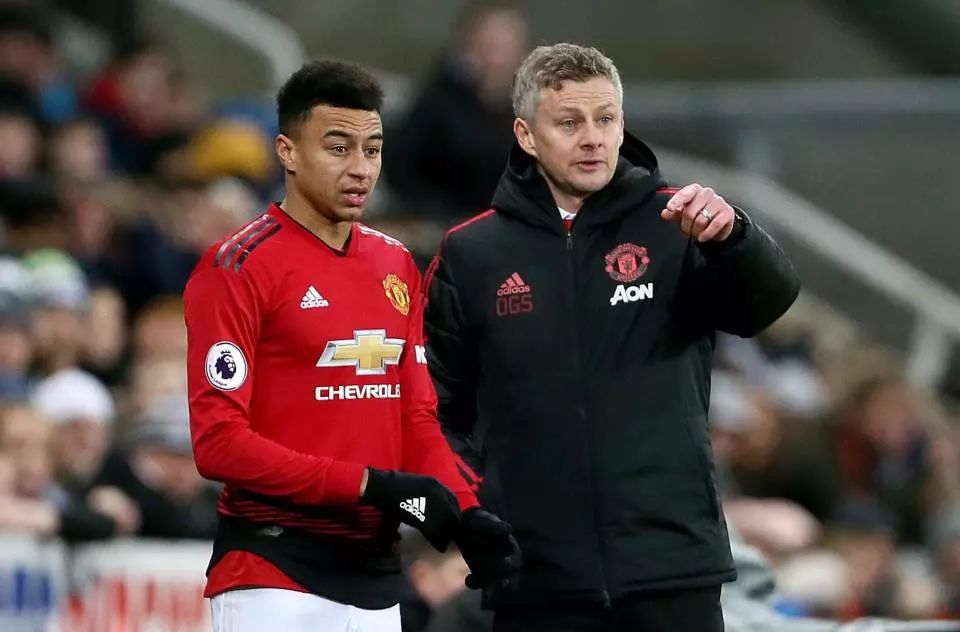 明星选手的 明星选手的